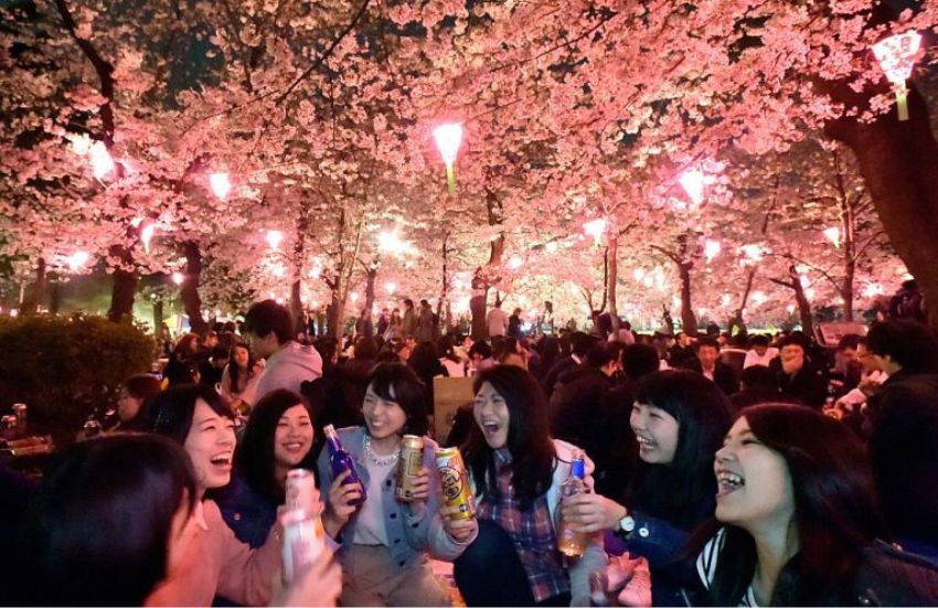 Hanami